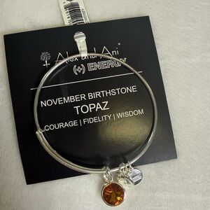 Alex and Ani Silver Bangle with Topaz (November) Charm